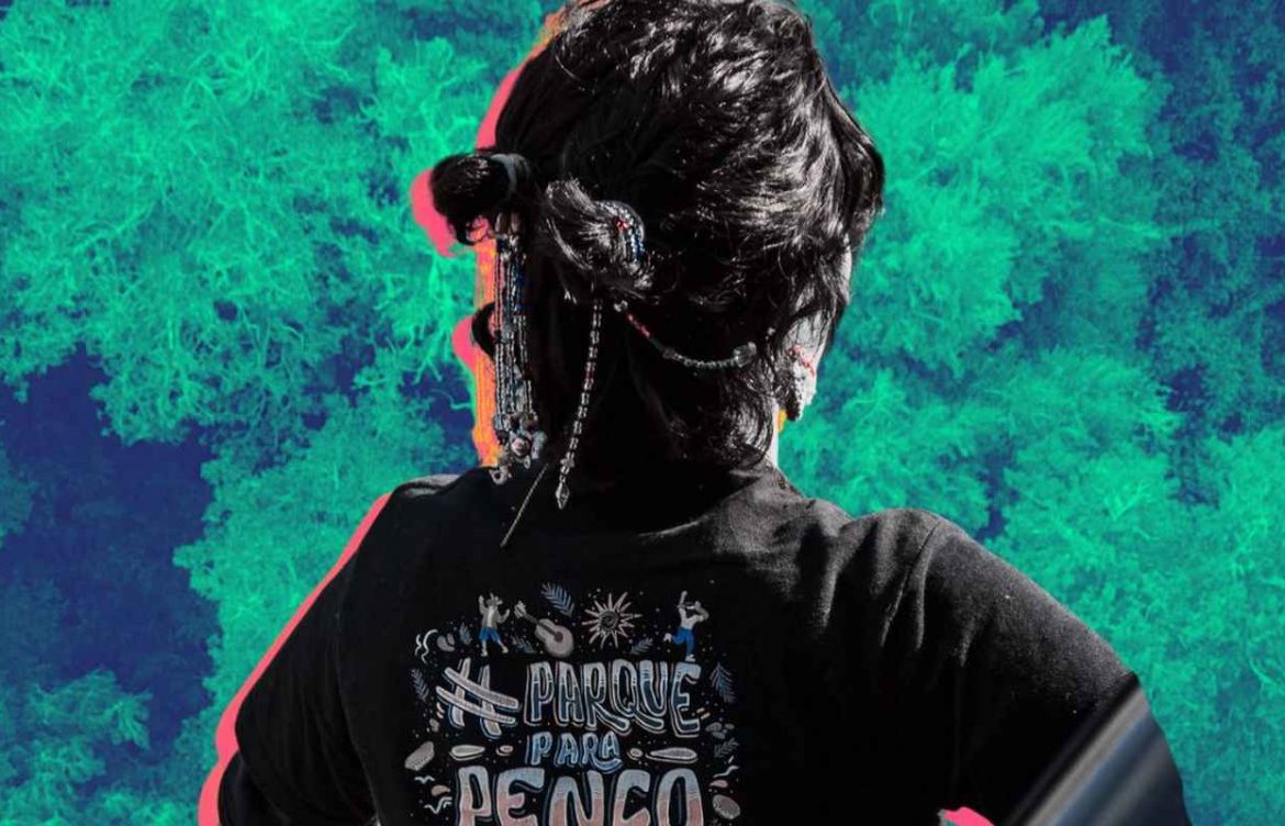 El dilema de un parque acorralado entre minería y forestales en Penco