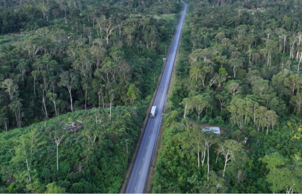 Áreas protegidas en riesgo: 830 500 kilómetros de carreteras amenazan a 3837 reservas sudamericanas