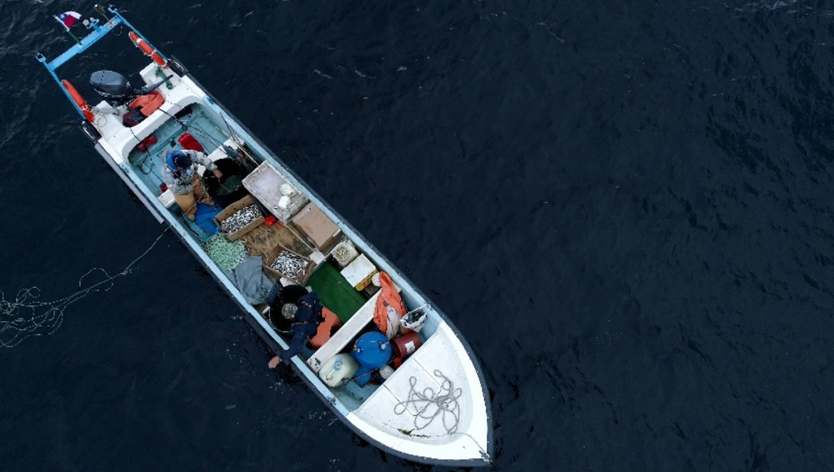 Comité Científico propone ampliar veda de la merluza austral por sobreexplotación y pescadores artesanales celebran la medida