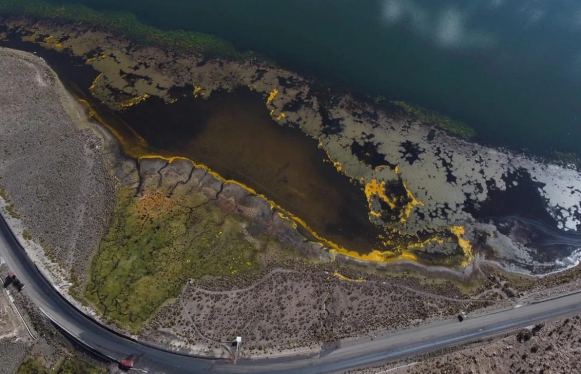 No solo aceite: Los derrames de camiones con hidrocarburo que contaminan salares y agua potable en el altiplano
