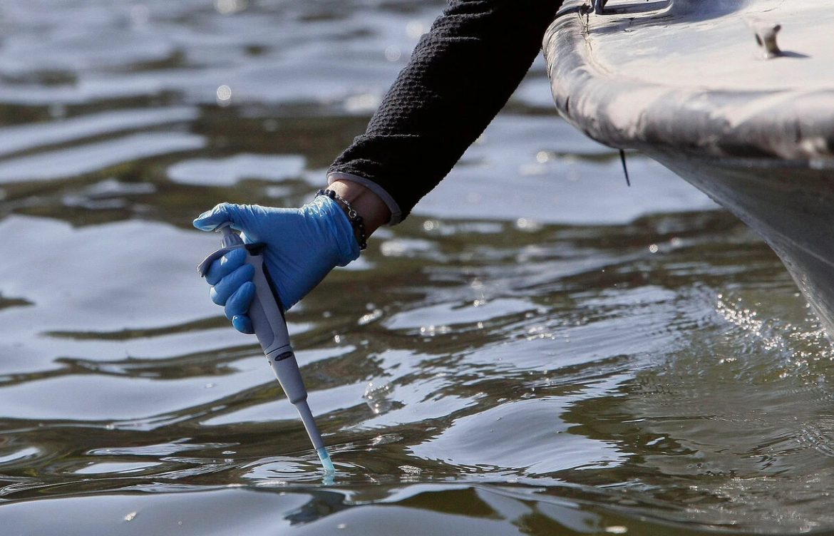 Agua verde en el lago Vichuquén: Más de 10 años de denuncias y estudios alertaban contaminación en la cuenca
