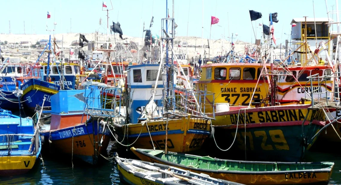 Pescadores artesanales denuncian ofensiva contra la Ley de Fraccionamiento: “Impugnar una ley en Contraloría es antidemocrático”