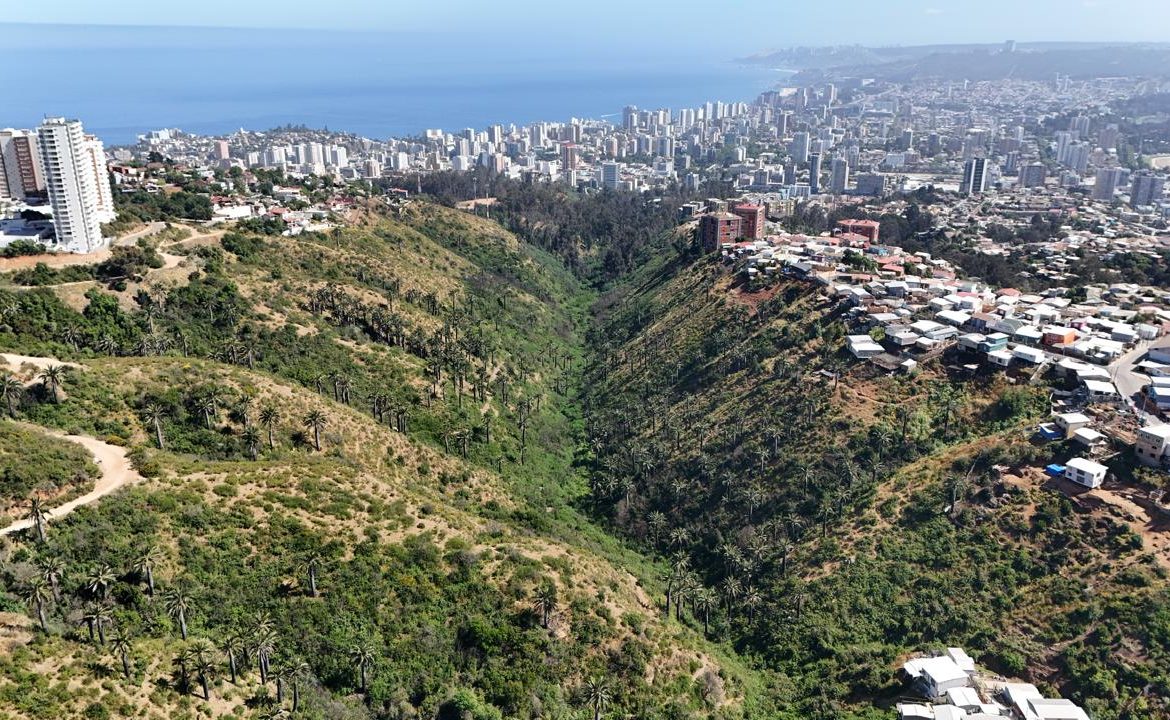 Otorgan categoría de humedal urbano al Parque Natural Kan-Kan