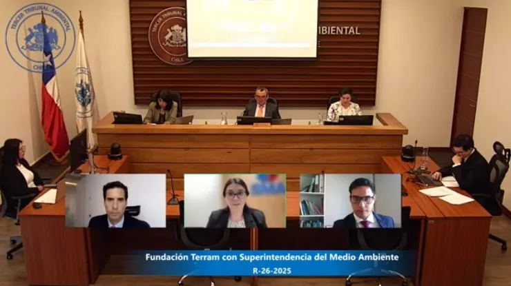Tribunal Ambiental escuchó alegatos en reclamación de Fundación Terram en contra de SMA por Centro de Salmones “Estero Riquelme”