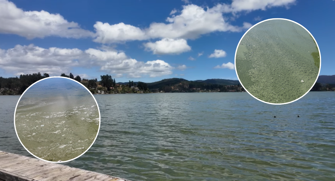 Lago Vichuquén contaminado: reportes de mal olor y solo $2.6 millones del municipio para medioambiente