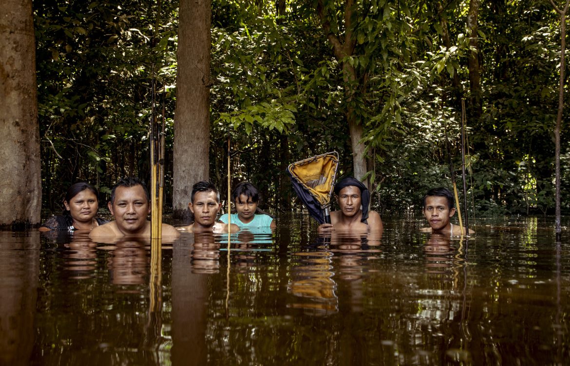 Latinoamérica: las historias ambientales que nos trajeron esperanza en 2025