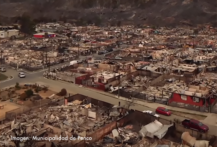 Incendios: avanza proyecto que regula la prevención y escala polémica por acumulación de residuos forestales