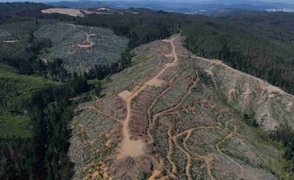 SEA suspende temporalmente evaluación de proyecto de tierras raras en Biobío