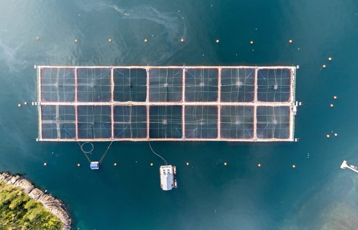Cuestionadas en Chile, aprobadas en Argentina: expertas alertan a Tierra del Fuego sobre impactos ambientales de salmoneras