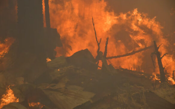 La dramática ausencia de política pública: Incendios forestales