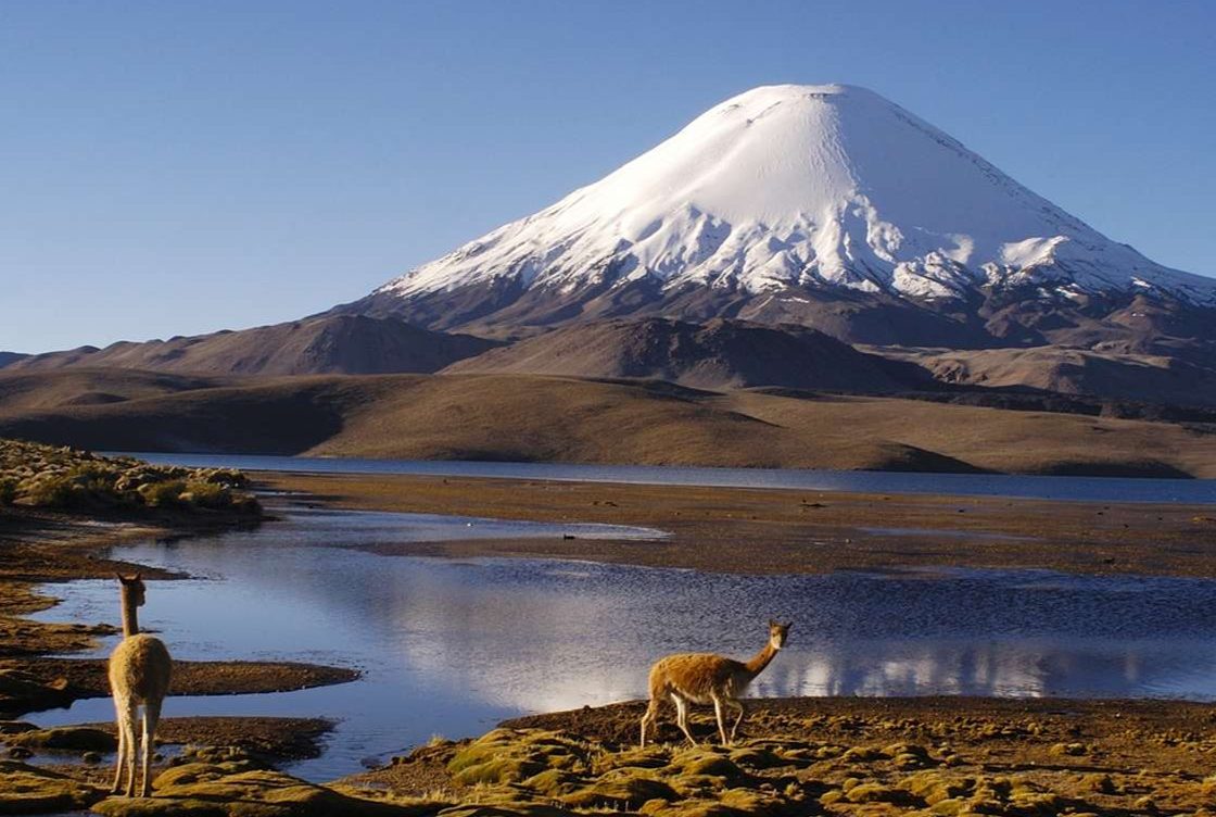 ¿Otra vez en Arica y Parinacota? Camión vuelca en Parque Lauca y derrama combustible