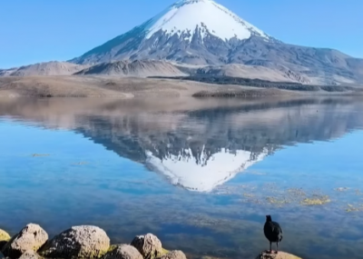 Video | Arica: Lago Chungará da señales de recuperación tras derrame de aceite de soya por camión boliviano