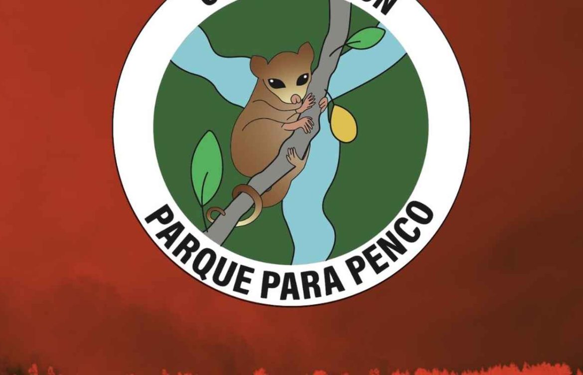 Corporación Parque para Penco: “Se quemó el parque, se quemó donde se quiere instalar la minera”