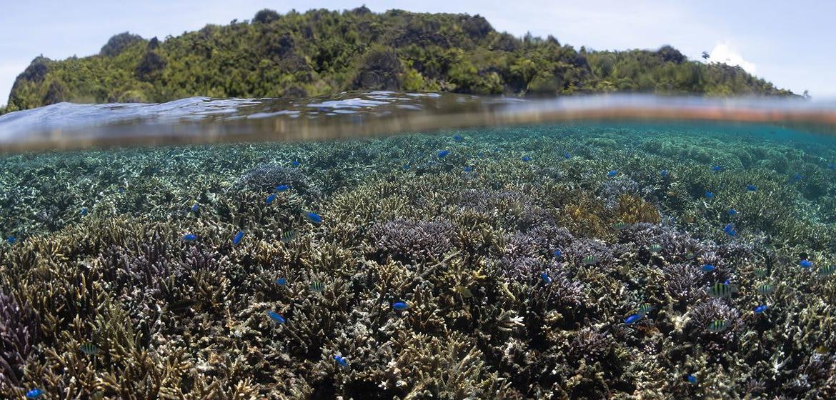 Entra en vigor un tratado internacional histórico para la protección marina