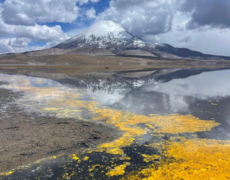A un mes del desastre, los impactos del derrame de 20 toneladas de aceite en el lago Chungará: “Podemos hablar de consecuencias poco claras en un ecosistema frágil”