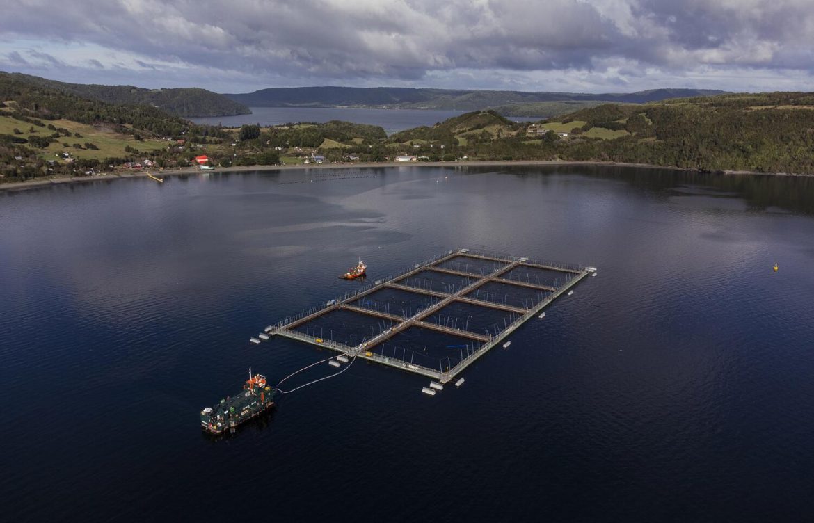 La expansión de la industria salmonera amenaza el sur de Chile