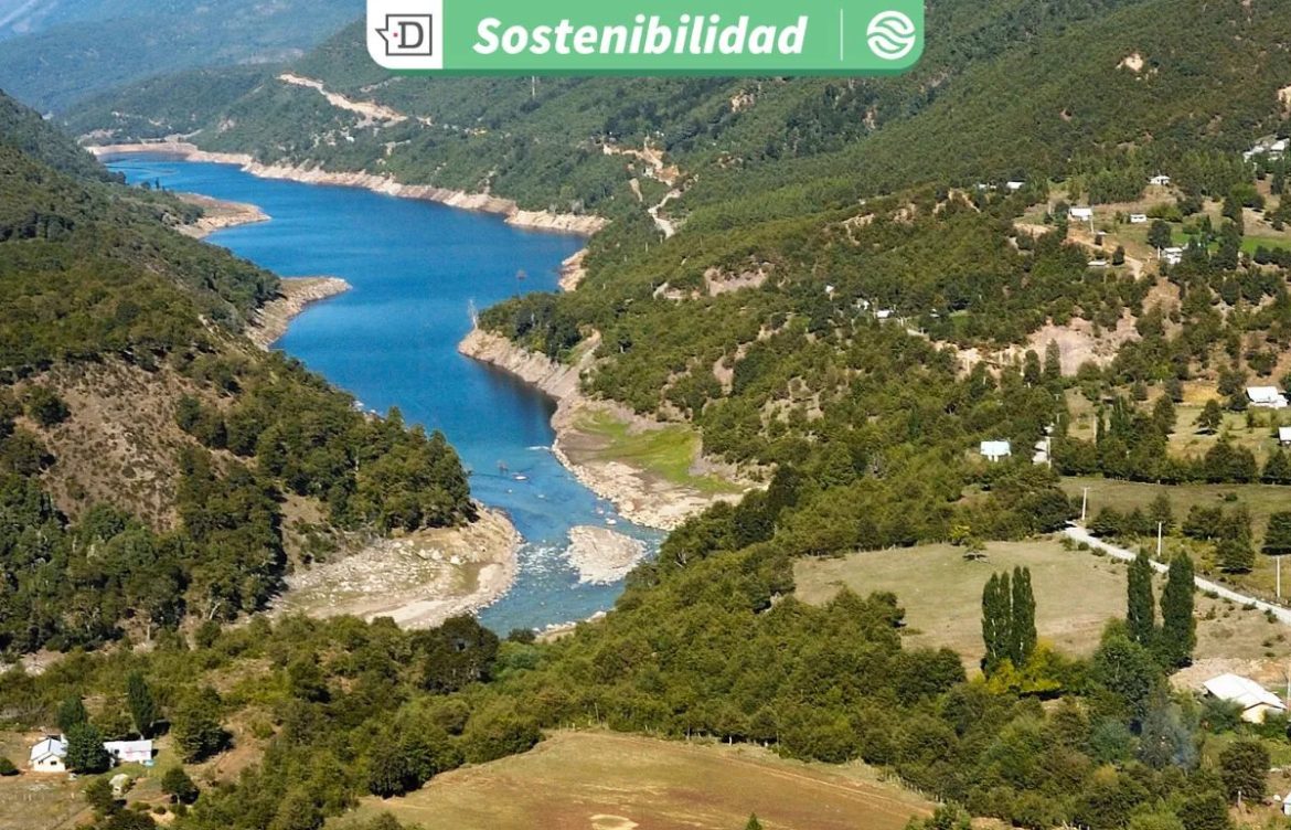 Drogas en ríos del Biobío amenazan fauna acuática: Experto advierte que la única acción efectiva es prevenir el consumo