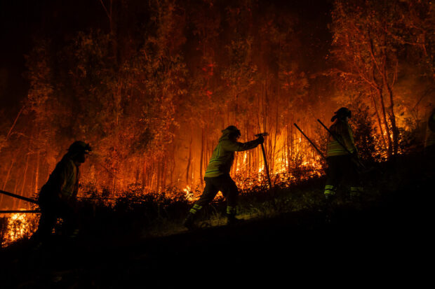Ley de incendios forestales pasa a comisión mixta: parlamentarios alegan medidas “expropiatorias”