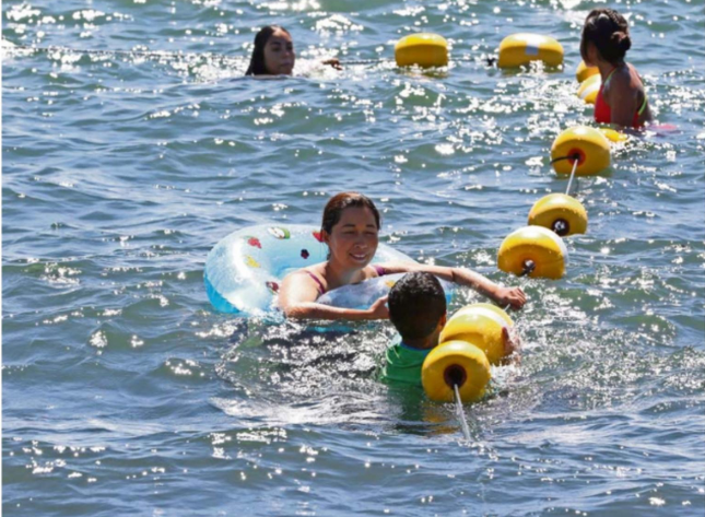 Temporada de monitoreo en el lago Villarrica cerró con 9 banderas rojas por presencia de microcistina