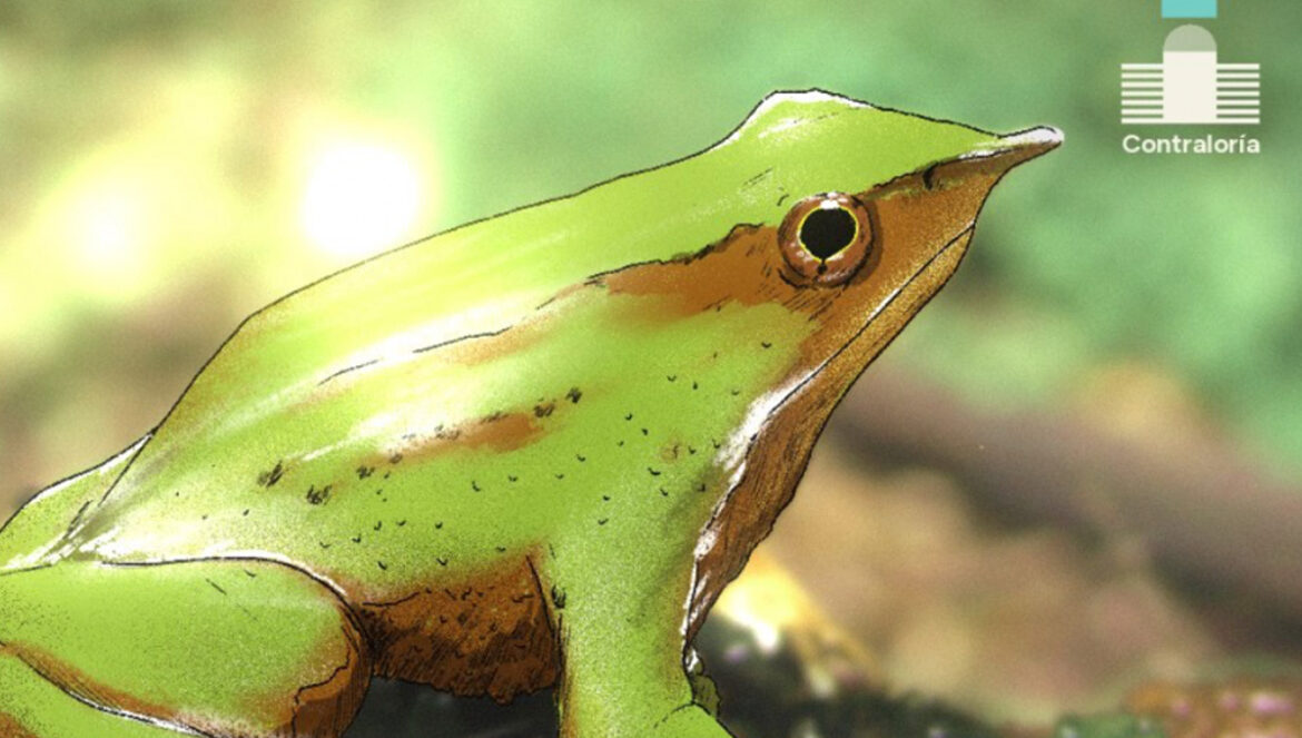 Decretos: Solo faltan 42