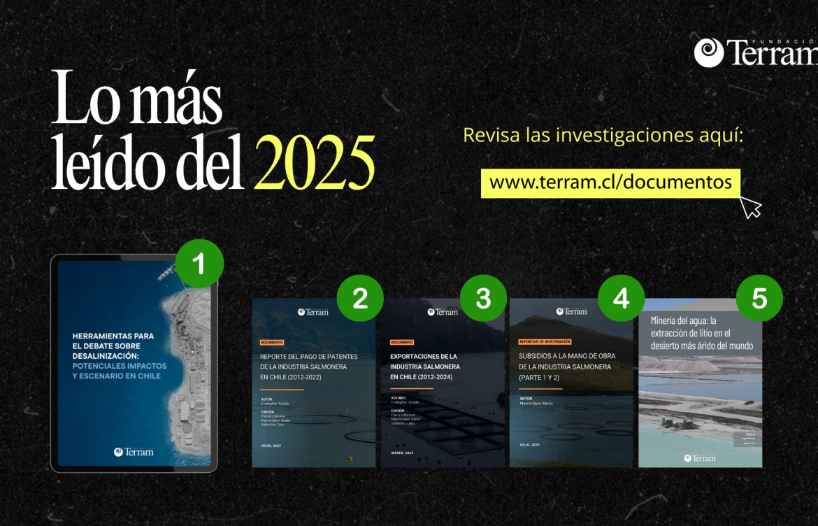 Lo más leído del 2025: Publicaciones Fundación Terram