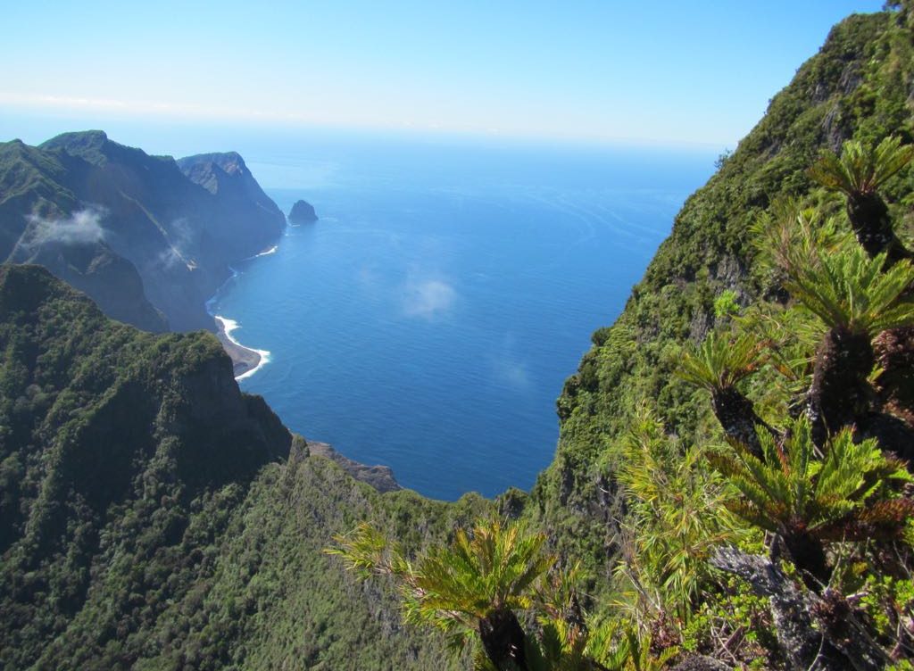 Ministerio del Medio Ambiente retira de Contraloría 43 decretos que estaban en trámite de toma de razón
