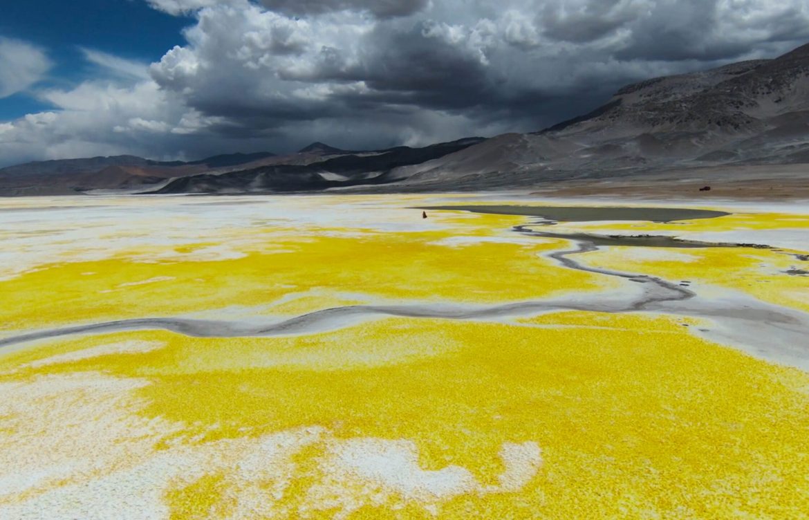 Chile: Kast frena las áreas protegidas en salares y otras 37 normas ambientales aprobadas por Boric