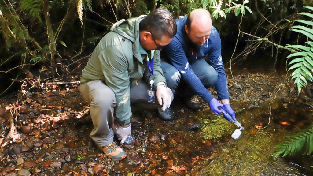 Científicos analizan ADN del agua en el Parque Alerce Andino para crear modelo pionero que conecte turismo y conservación