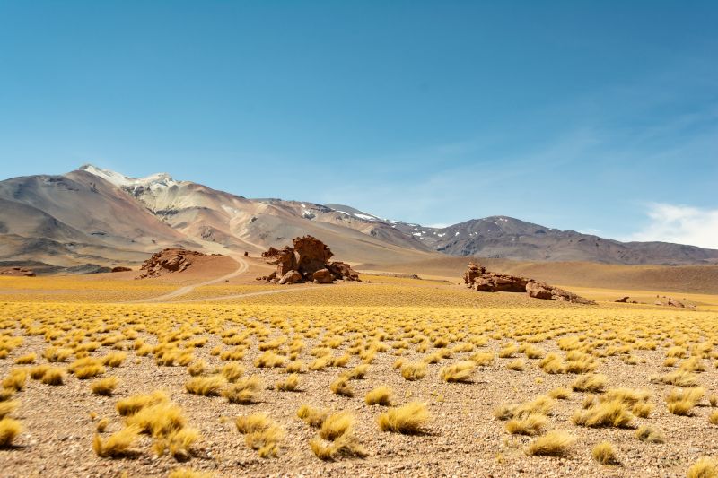 Día Mundial de la Naturaleza: SMA publica más de 12 millones de registros de biodiversidad
