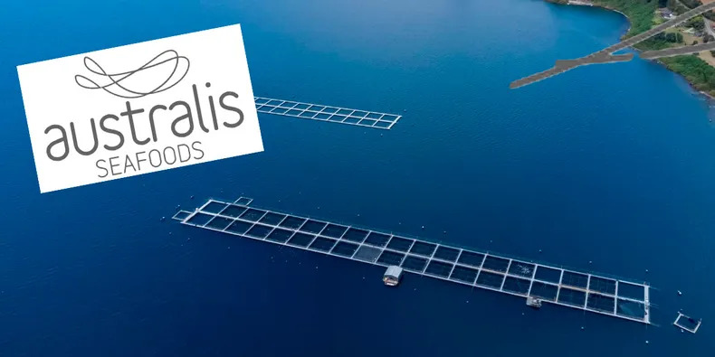 SMA rechaza plan de Australis por sobreproducción en Reserva Kawésqar y salmonera recurre al Tribunal Ambiental