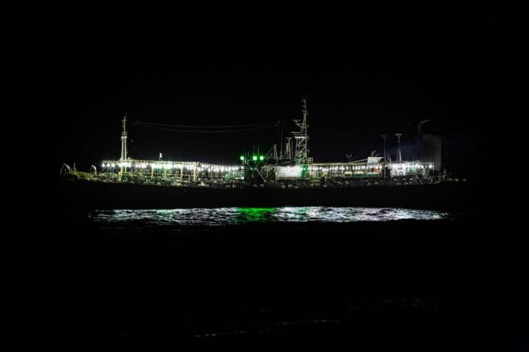 Calamar gigante o pota: frente al avance de China, los países del Pacífico se reúnen a discutir nuevas reglas para la pesca