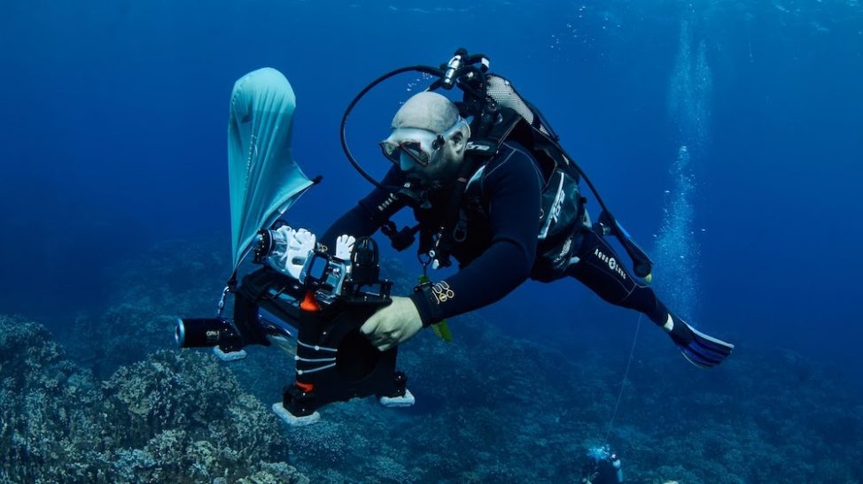 Rapa Nui: el arrecife que se asfixia bajo el azul profundo