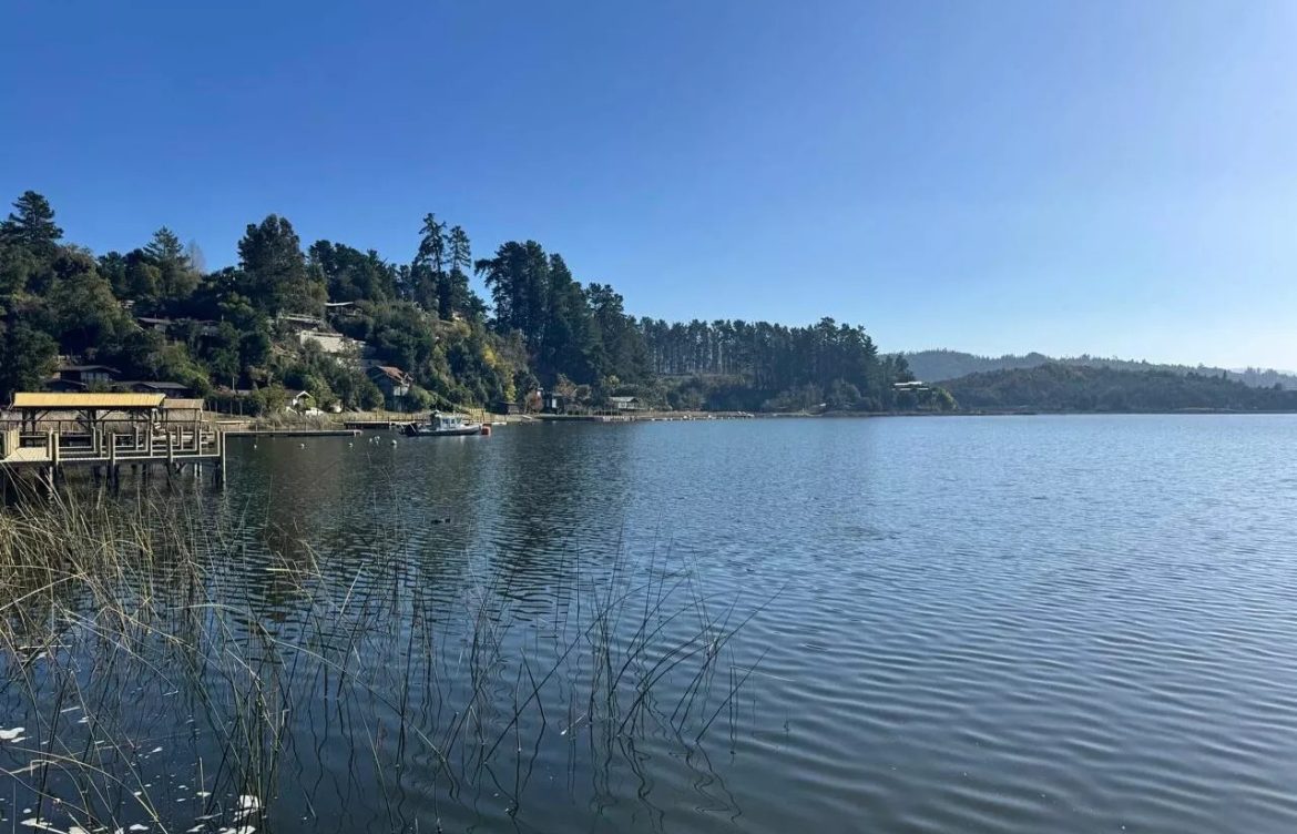 Medio Ambiente busca recuperar Lago Vichuquén: Ministra Toledo inicia proceso para avanzar en su descontaminación