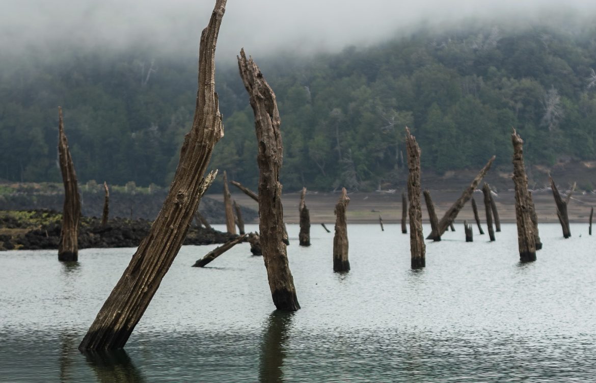 El retiro de 43 decretos que hizo cuestionar la institucionalidad medioambiental en Chile