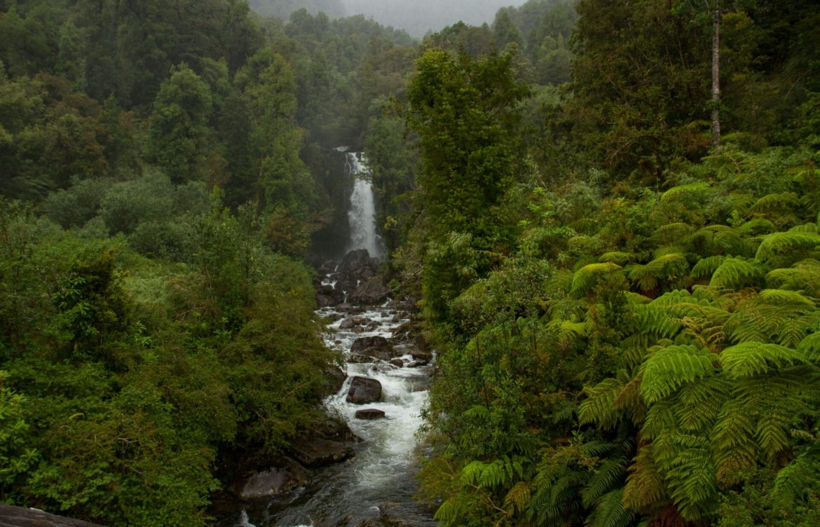 17 parques en 11,8 millones de hectáreas: El desafío de construir la ruta de naturaleza más importante del mundo en la Patagonia chilena