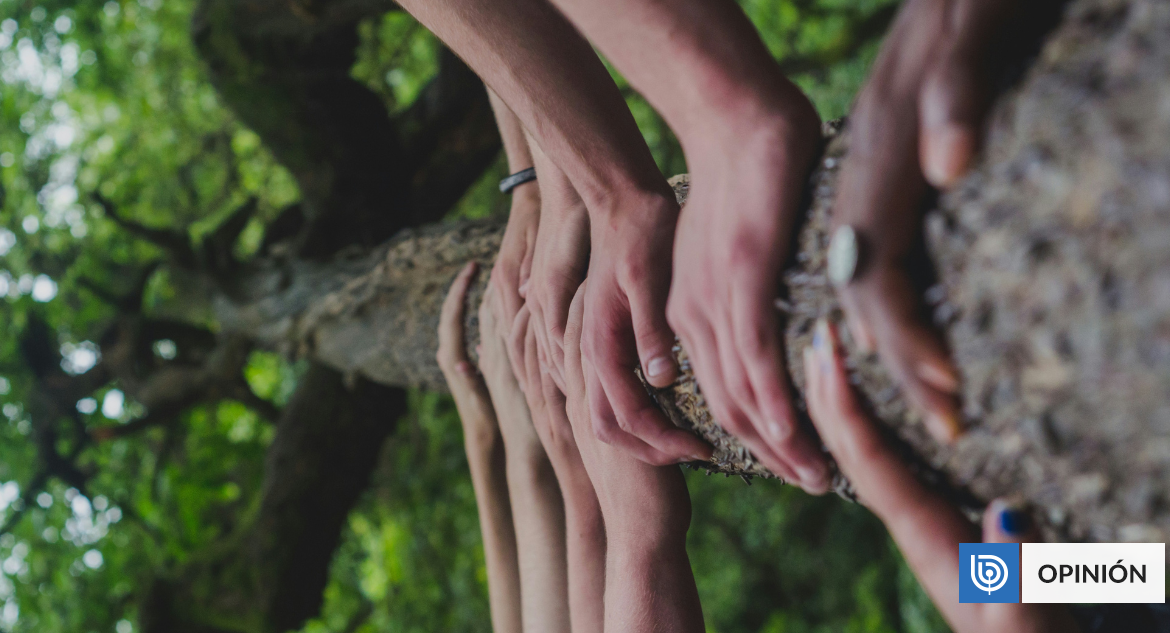 La fuerza que nos une: el rol de las ONG en el cuidado de la Tierra