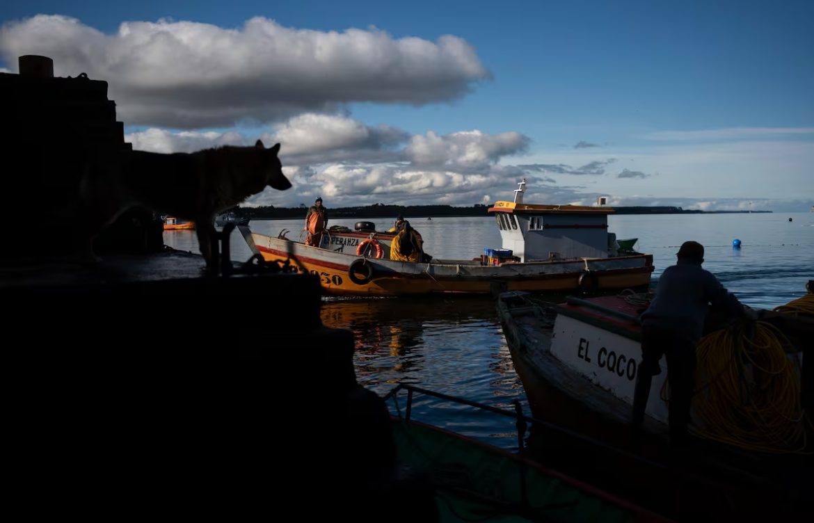 La industria chilena del salmón arrastra una alta tasa de muertes de buzos y trabajadores