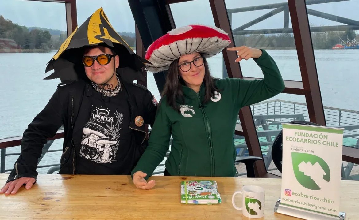 Regresa a Valdivia FungiFest, el festival de hongos más grande de Chile
