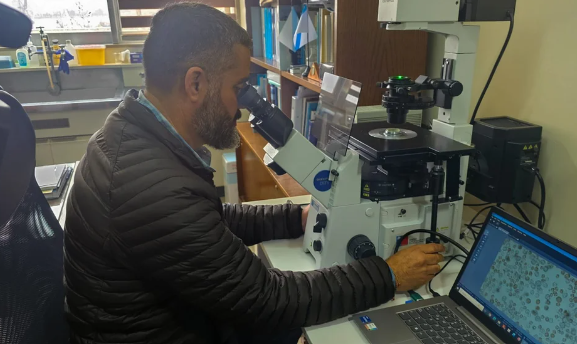 En UCN investigan microorganismo causante de bioluminiscencia en Guanaqueros