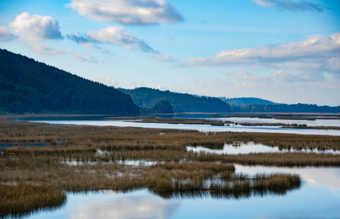 Valdivia será sede del Tercer Encuentro Nacional de Sitios Ramsar tras reconocimiento como “Ciudad Humedal”