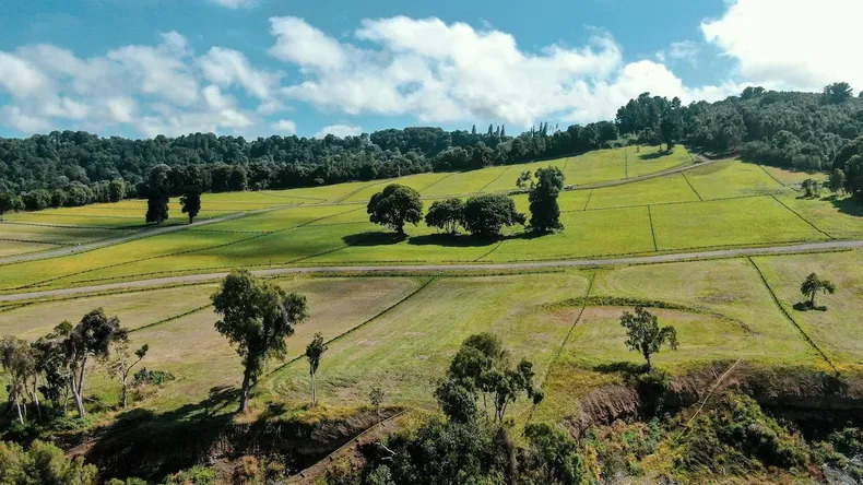 Venta de loteos agrícolas para viviendas: El fallo de la Corte Suprema que detuvo proyecto en Los Lagos