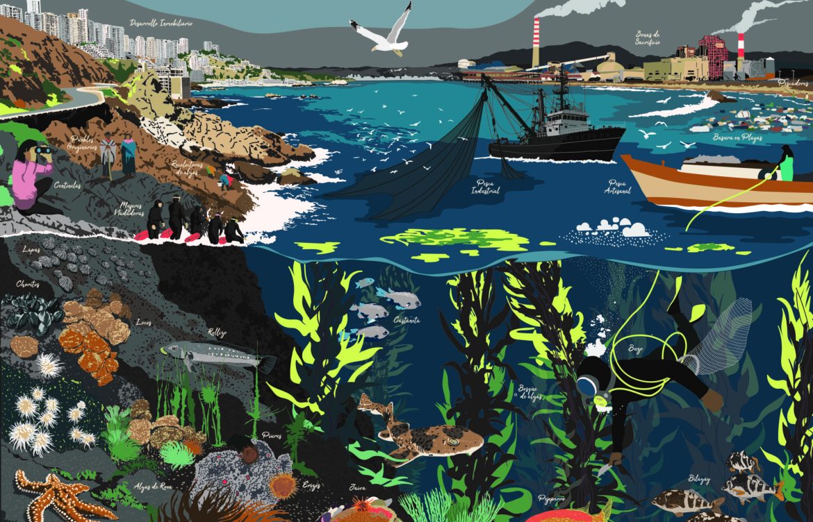 Del resguardo del océano a la marea de plástico: Investigadores chilenos revelan los impactos del «Antropoceno Azul»