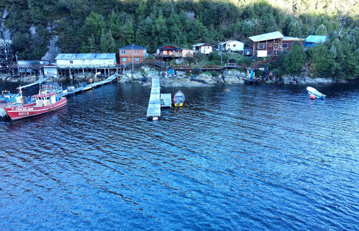 Ordenan retiro inmediato de instalación salmonera en lobera ubicada en Puerto Gala