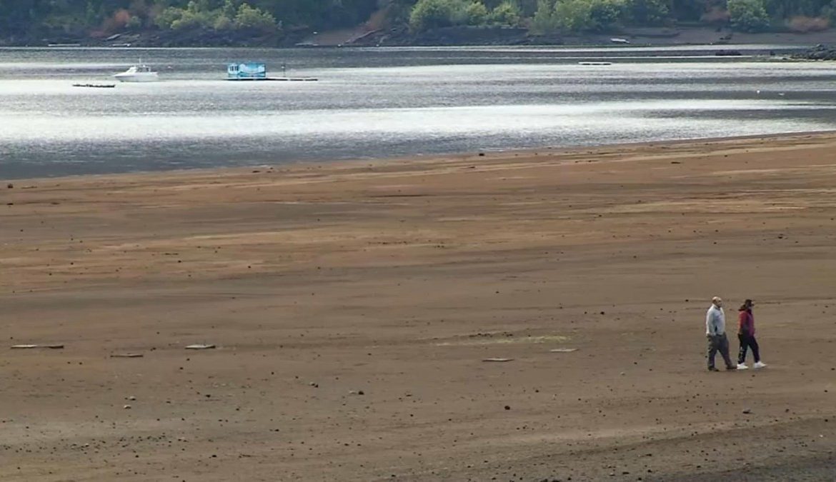 Habría descendido cerca de 200 metros: Preocupación por baja del lago Caburgua