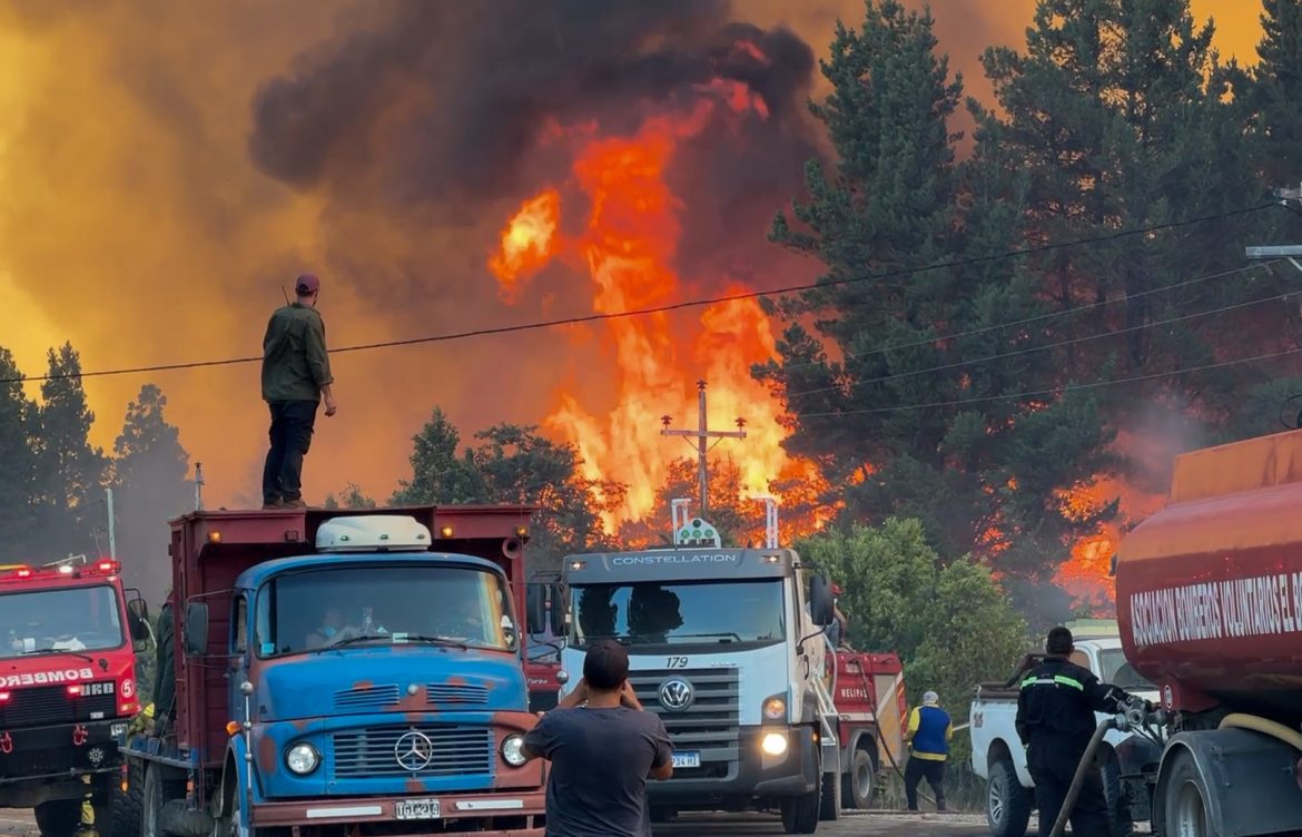 ¿Cómo salvar los bosques de la Patagonia de los súper incendios y el cambio climático?