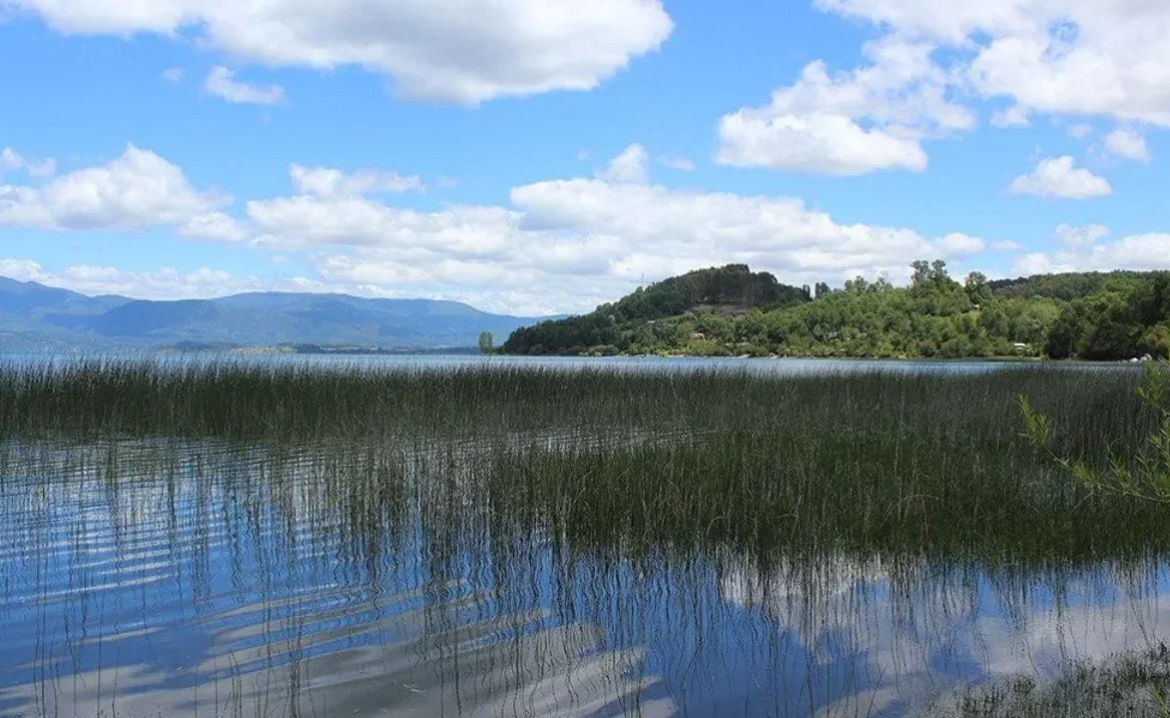 Corte paraliza obras en Humedal Bahía Panguipulli tras recurso de protección