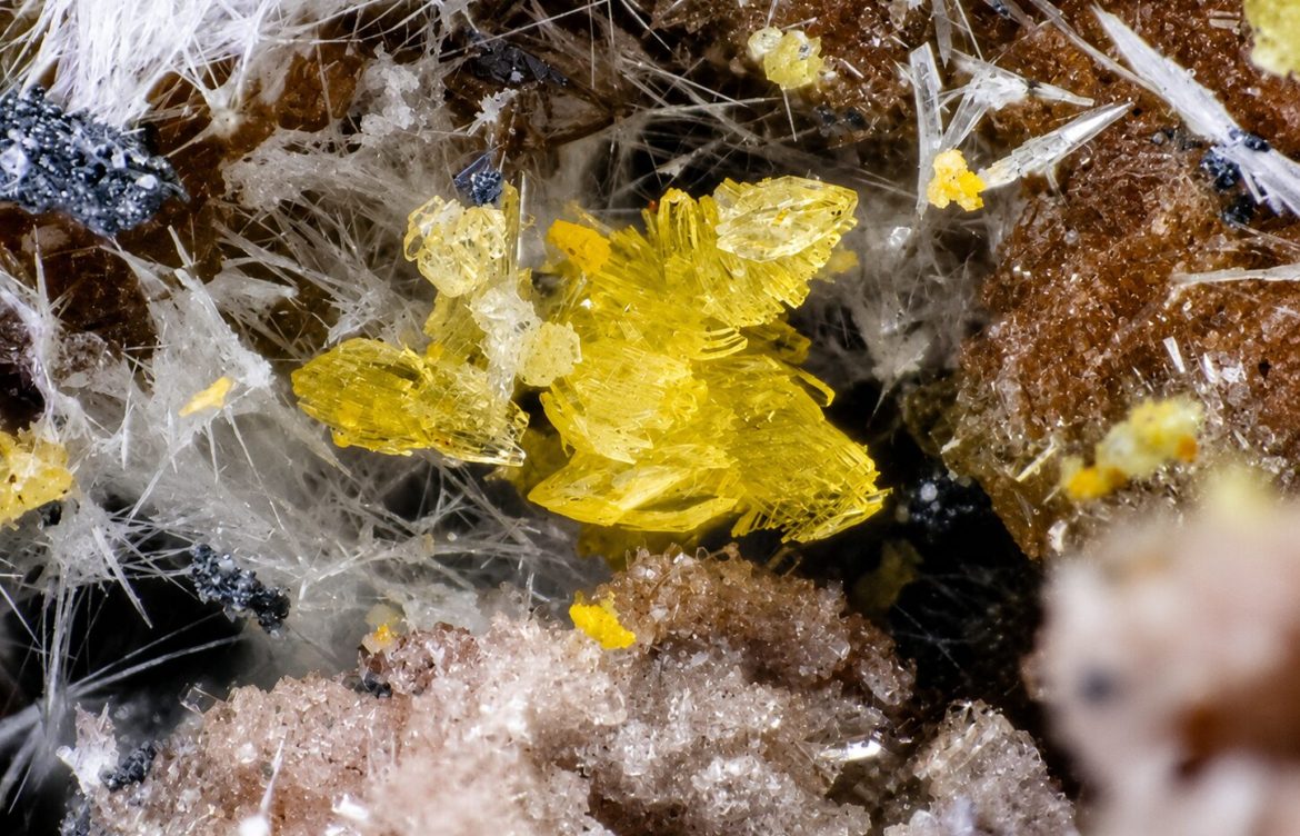 Un patrimonio oculto bajo la superficie: Descubriendo 10 especies minerales emblemáticas de Chile