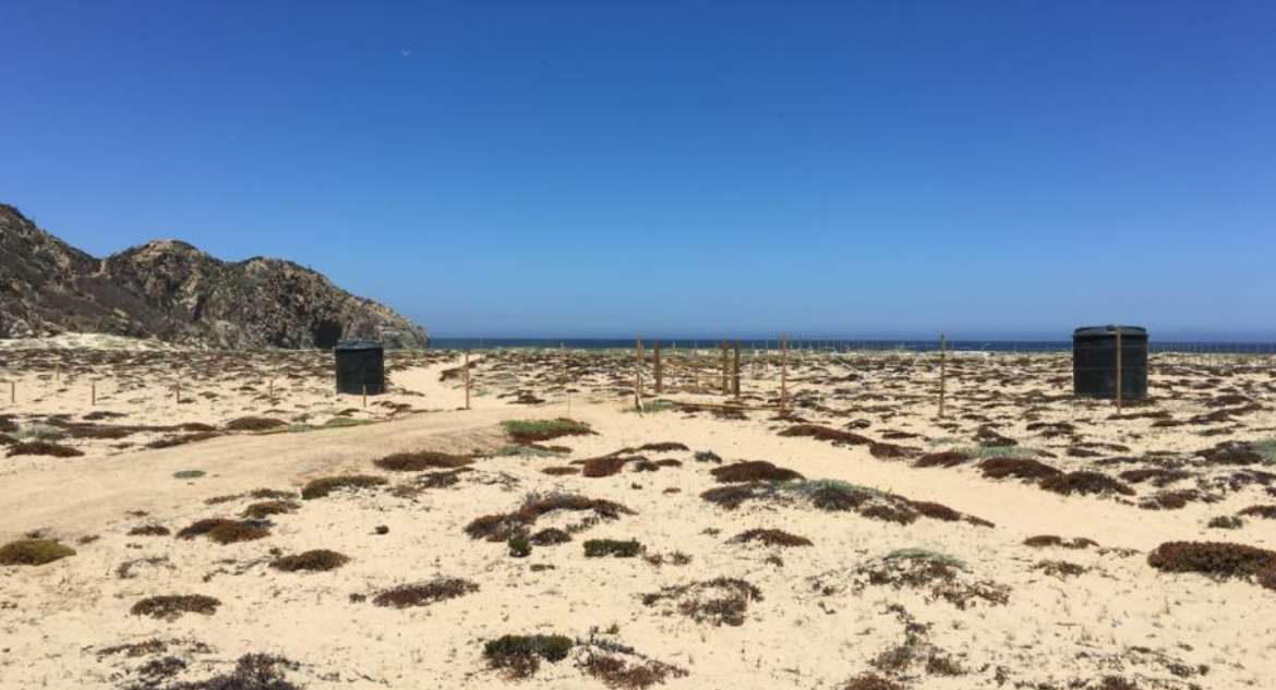 SMA ratifica que megaproyecto inmobiliario en Algarrobo debe someterse a evaluación ambiental