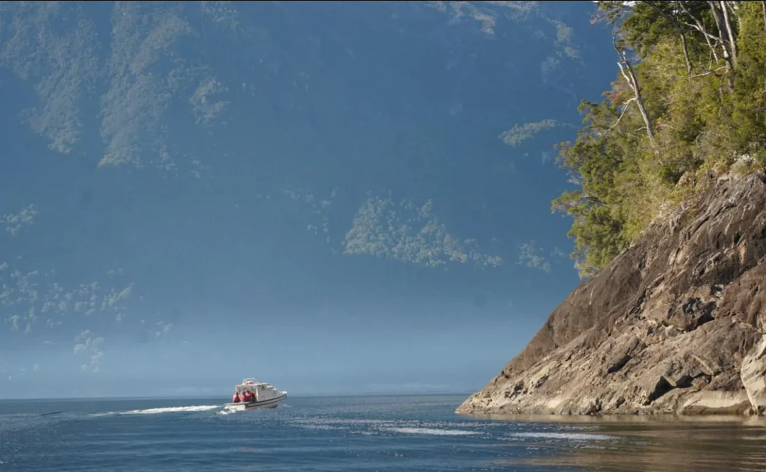 Región de Los Lagos: Comisión de Medio Ambiente evalúa en terreno daños en lago Chapo