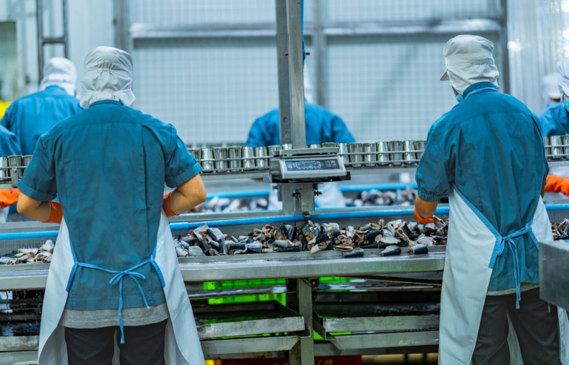 Entra en vigencia norma que regula las emisiones de olor del sector pesquero y beneficiará a más de 138 mil personas en 11 regiones
